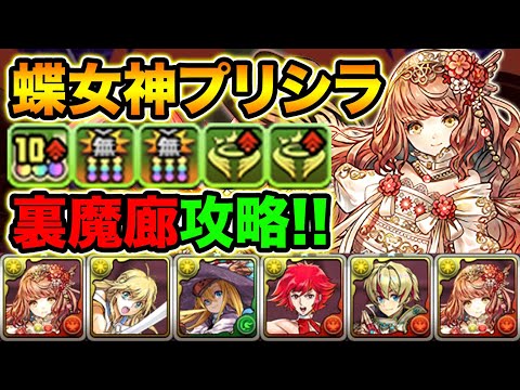 【最難関】新フェス限プリシラで裏魔廊の支配者！HP1.5倍+半減に優秀スキル持ちで火力も出るぞ！！！！！！！【スー☆パズドラ】