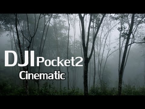 DJIPocket2Cinematic1080HD