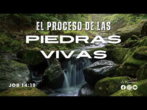 EL PROCESO DE LAS PIEDRAS VIVAS I Job 14:19 I Miércoles 24/04/2024