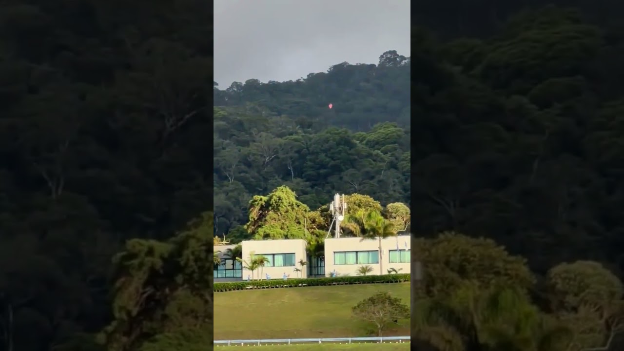 Jogadores da Seleção soltam pipa