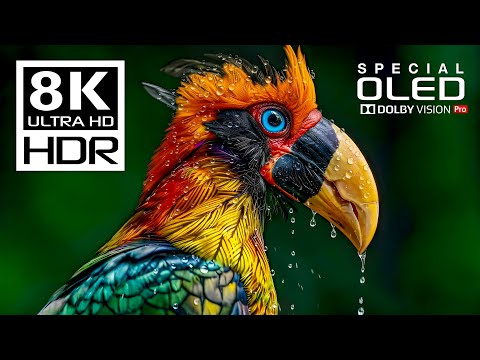 Incredible 8K Videos | Special Dolby Vision HDR 8K 120fps