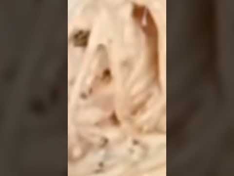 ăn mì ý sốt kem phô mai