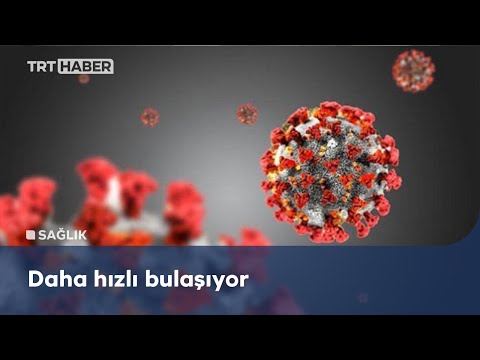 Hindistan mutasyonu ne kadar tehlikeli?
