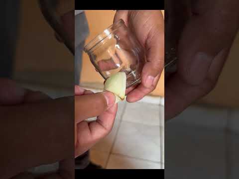 Porque as Imagens São Coloridas Por Computador #experimento #física #biologia #educação #ciência