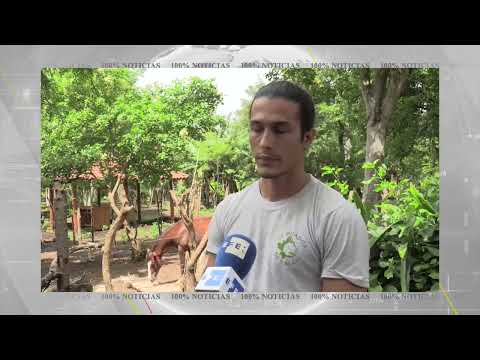 Refugio donde los caballos explotados de Nicaragua encuentran nueva vida