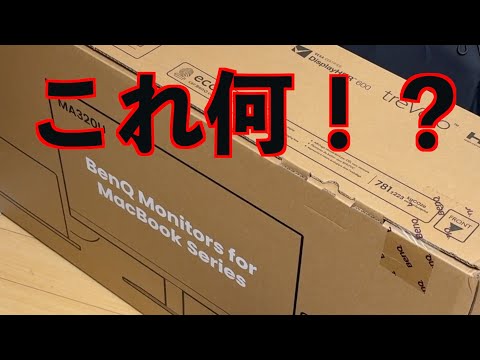 【異次元のデカさ】Amazonプライムセールで買った品