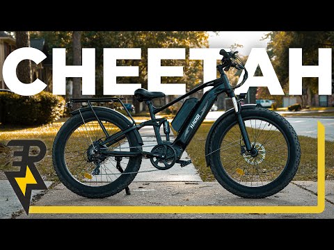 1,200-watt-hour beast | HAOQI Cheetah | Electric Bike Review