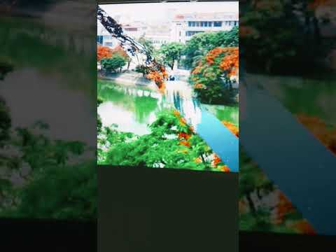 #lanbukay # vui ở tuổi học trò