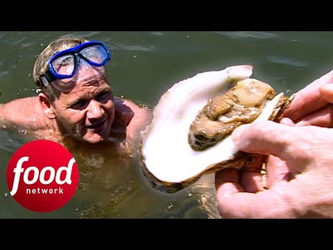 Gordon Ramsay Has To Fish For His Own Oysters To Cook A Thai Seafood Soup | Gordon's Great Escape