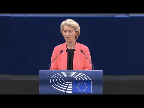 EU chief slams censure motion as part of extremist 'playbook' | AFP