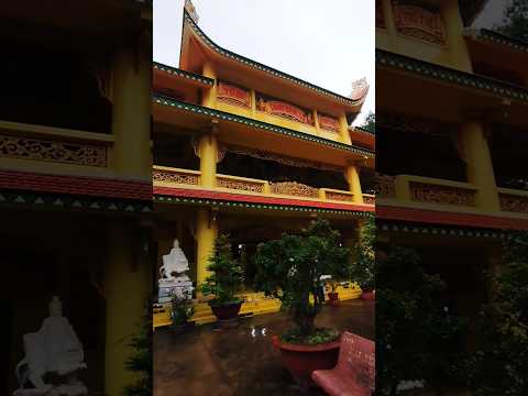 Nguyện cầu bình an cho Nhân loại. #mchieuthanh #phatphap #viral #viralvideo #shorts #shortvideo