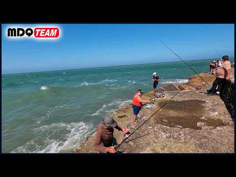 VOLVIMOS A MAR DEL PLATA DESPUES DE ALGUNOS MESES y encntramos la pesca