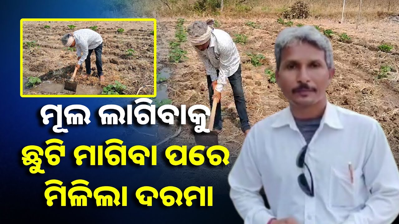 ତିନି ମାସ ଦରମା ପାଇ ନଥିବା ସାରଙ୍କ ଦରଖାସ୍ତ କାମ ଦେଲା, ମୂଲ ଲାଗି ଚଳୁଥିଲେ || Knews Odisha