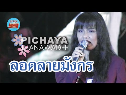 ลอดลายมังกร-พิชญาธนาวดี(ภา