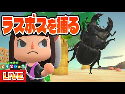 【あつ森】虫図鑑ラスト1匹！ラスボスのオオクワガタを捕るぞ！！！【あつまれどうぶつの森】