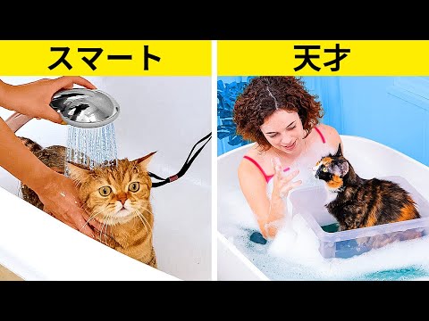 これらの天才的なペットハックで、あなたの毛むくじゃらの友達を信じられないほど幸せにしよう！