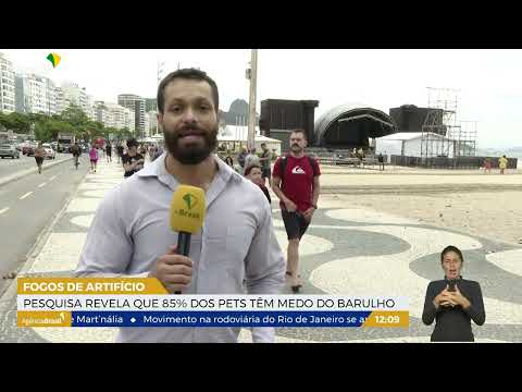 RJ | Réveillon: fogos de artifício exigem atenção com animais domésticos