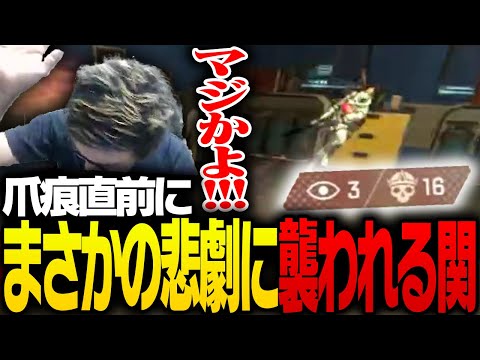 爪痕目前で悲劇に襲われ発狂する関優太【ApexLegends】