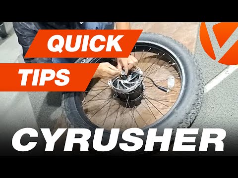 Quick Tips - How to Replace the Motor for the Ranger & Trax