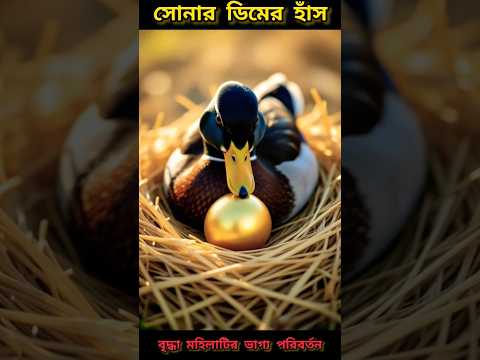 সোনার ডিম পাড়া হাঁস.. #ai #animals #viral #cartoon #trending #trending #comedy #funny #animation