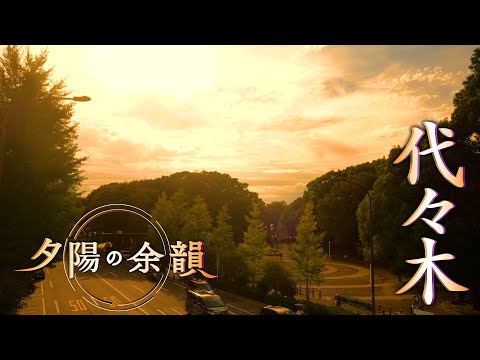 「夕陽の余韻」代々木へ　2026年9月30日放送分