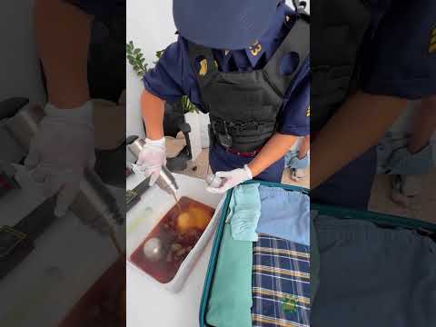 هل هو مذنب؟ 👮‍♀️ ضابط الشرطة سيكتشف ذلك 🕵️‍♂️