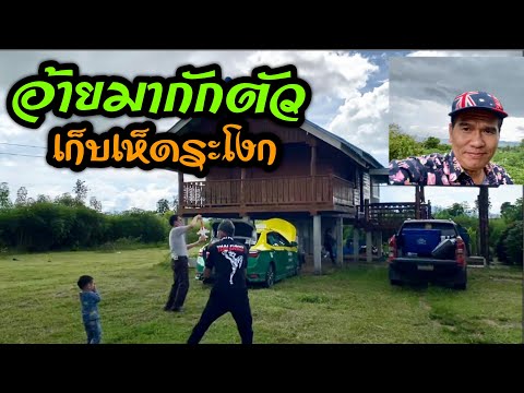 อ้ายมากักตัว-เก็บเห็ดระโงก อ้ายมากักตัว-เก็บเห็ดระโงก