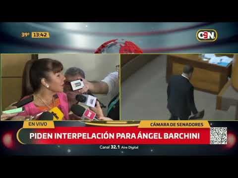 Cámara de Senadores: Piden interpelación para Ángel Barchini