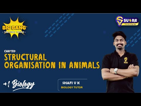 XI BIOLOGY | CHAPTER 7 | STRUCTURAL ORGANISATION IN ANIMALS