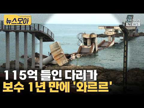C등급 받고 보수까지 했는데…포항 해상다리 붕괴 원인은? [티조 Clip]
