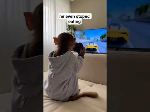 He does this whole day 😥 #gaming #cargame #fyp #viralvideo #cute