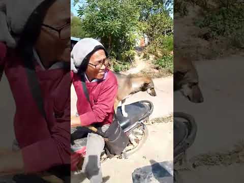 สนิมขึ้นเขาแล้ว