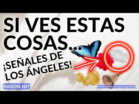 MENSAJES de los ÁNGELES PARA TI- DIGEON-ARCÁNGEL GABRIELTODO ESTO SON SEÑALES DE LOS ÁNGELES