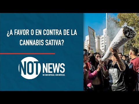 ¿Legalizar la MARIHUANA en CHILE? #NotNews