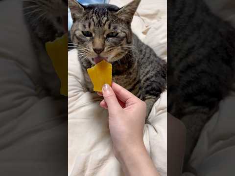 秋はやっぱりお芋だね