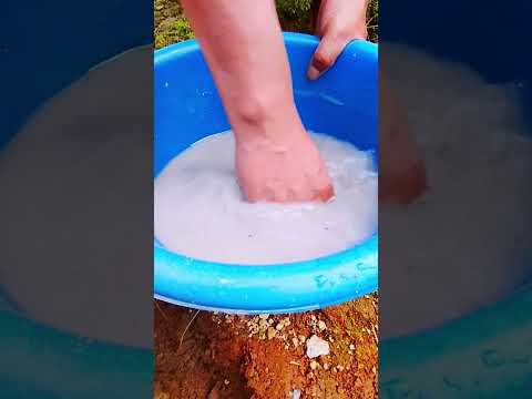 preparar agua de ceniza como abono casero #jardin #plantas