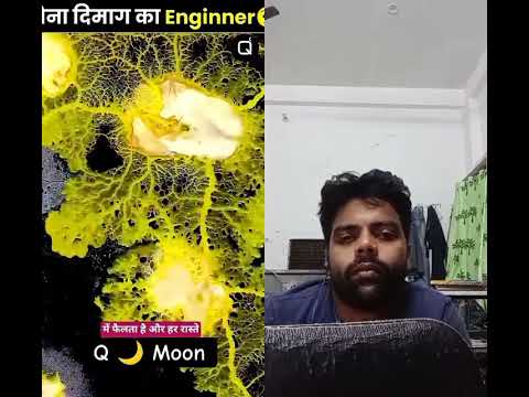 एक अजीब सा जीव