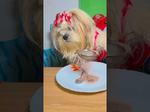 I make the BEST DESSERT for Dad 🧁 #shorts#tiktok  #cooking hacks  #dog #mangolhasa