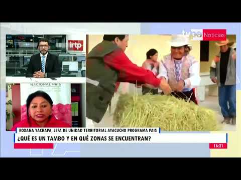 Noticias Tarde | Roxana Yachapa, jefa de unidad territorial Ayacucho Programa PAIS - 8/02/2023