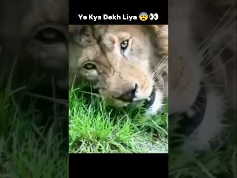 My Whole Life Was A Lie 😨👀 #shorts #memes #viralvideo