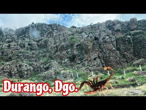 Hermosa naturaleza y de fondo el corrido de Durango