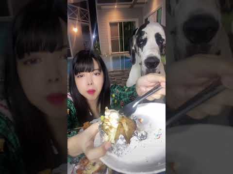 กินข้าวยังคะ กินข้าวยังคะ