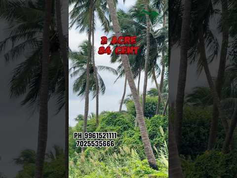 🌿🍃BEAUTIFUL PROPERTY FOR SALE IN PALAKKAD🌿#property#realestate #travel #farming#trending#land#trend