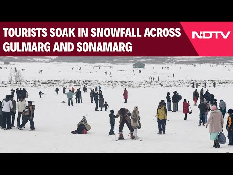 Kashmir Sonamarg | Tourists Soak In Breathtaking Snowfall Across Gulmarg And Sonamarg In Kashmir