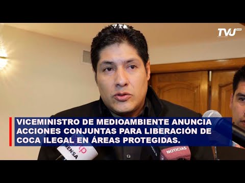 VICEMINISTRO DE MEDIOAMBIENTE ANUNCIA ACCIONES CONJUNTAS PARA LIBERACIÓN DE COCA ILEGAL