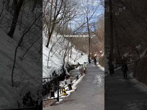 insane amount of peace ⋆˖❆