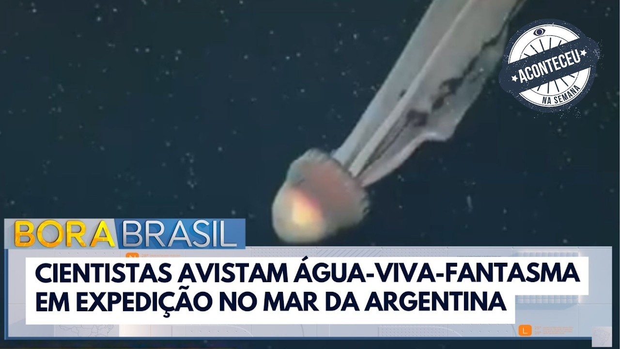 Água-viva-fantasma é avistada em expedição ao fundo do mar | Aconteceu na Semana