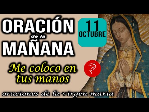 Oración de la mañana de hoy Viernes 11 de Octubre 2024 - Me coloco en tus manos