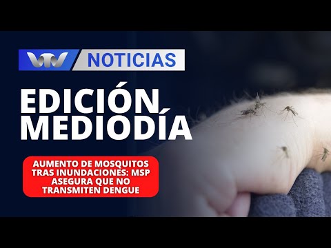 Edición Mediodía 25/03|Aumento de mosquitos tras inundaciones: MSP asegura que no transmiten dengue
