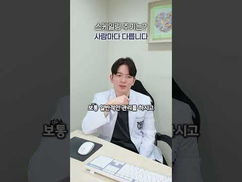 스케일링 주기는 어떻게 될까요? 🦷🦷